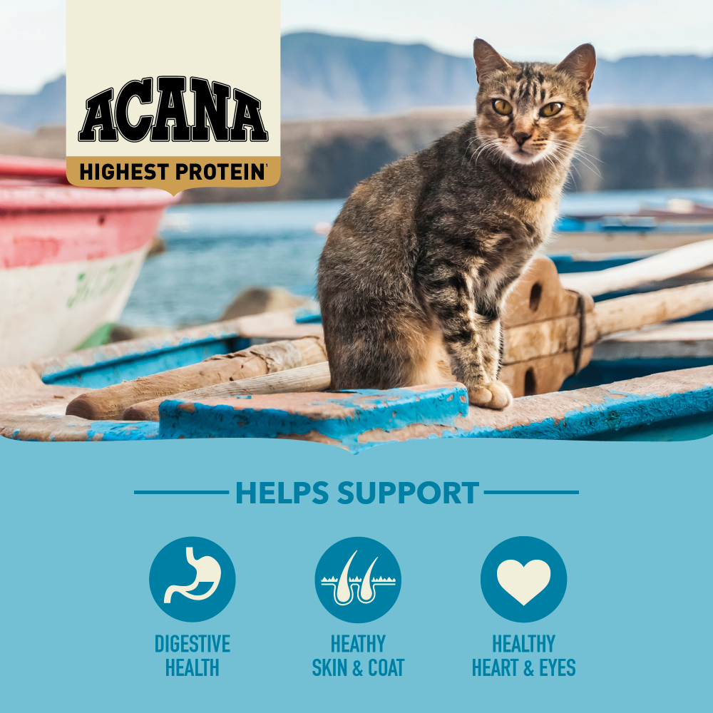 Acana Highest Protein, Pacifica - Cat