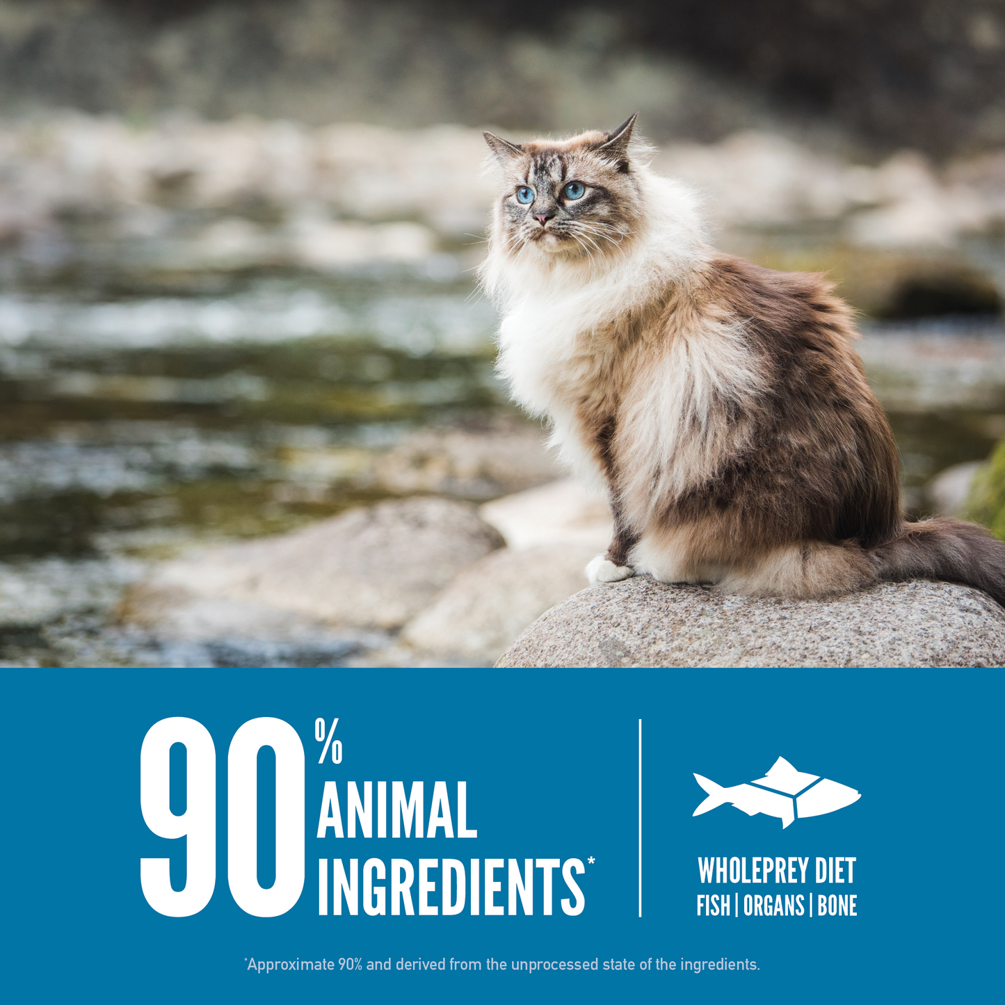 Orijen Six Fish™ - Cat