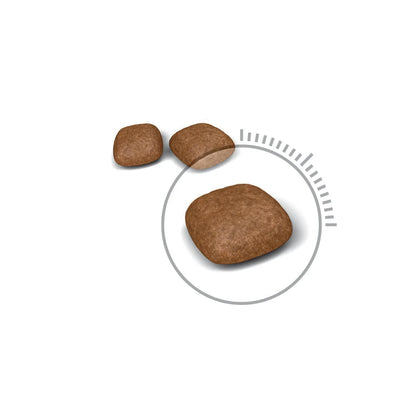 Royal Canin Urinary Care - Cat