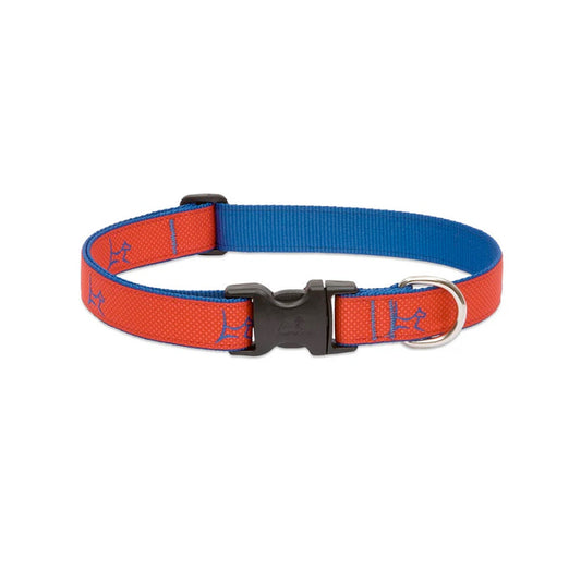 LupinePet Adjustable Collar for Small Dogs – Derby Red