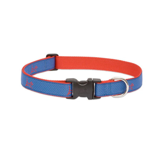 LupinePet Adjustable Collar for Small Dogs – Newport Blue