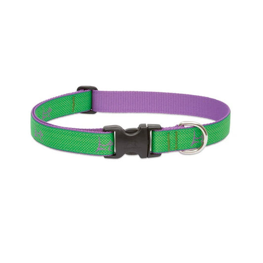 LupinePet Adjustable Collar for Small Dogs – Augusta Green