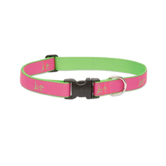 LupinePet Adjustable Collar for Small Dogs – Bermuda Pink