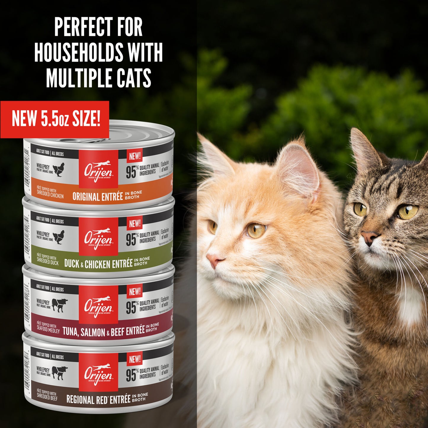 Orijen Original Entrée Wet Cat Food - Adult