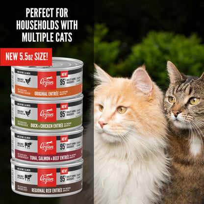 Orijen Tuna, Salmon & Beef Entrée Wet Cat Food - Adult
