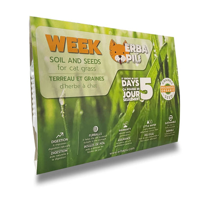 Erba Piu - Week Soil and Seeds Kit for Cat Grass