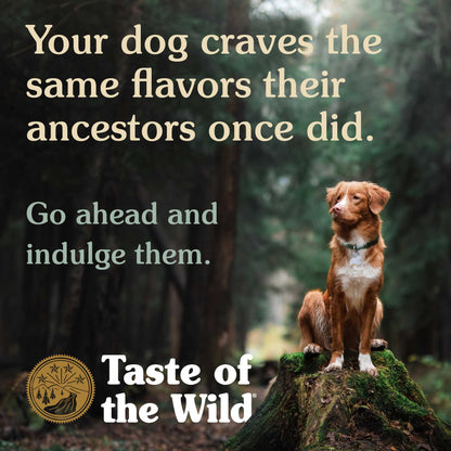 Sierra Mountain Canine Recipe (390g)