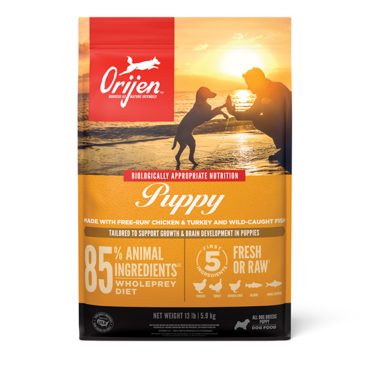 Origen Puppy - Dog