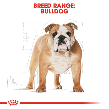 Royal Canin Bulldog - (12kg)