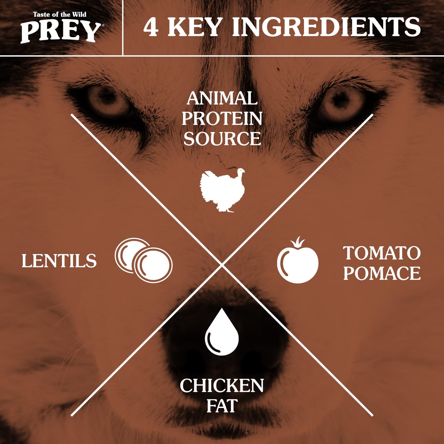 PREY Turkey Limited Ingredient Recipe for Dogs