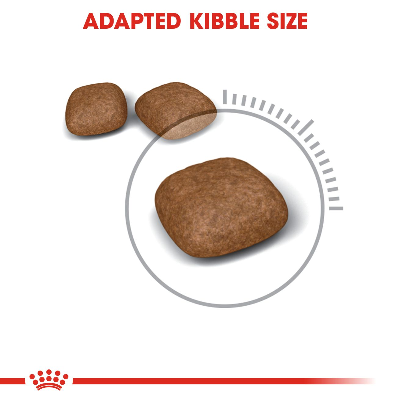 Royal Canin Urinary Care - Cat